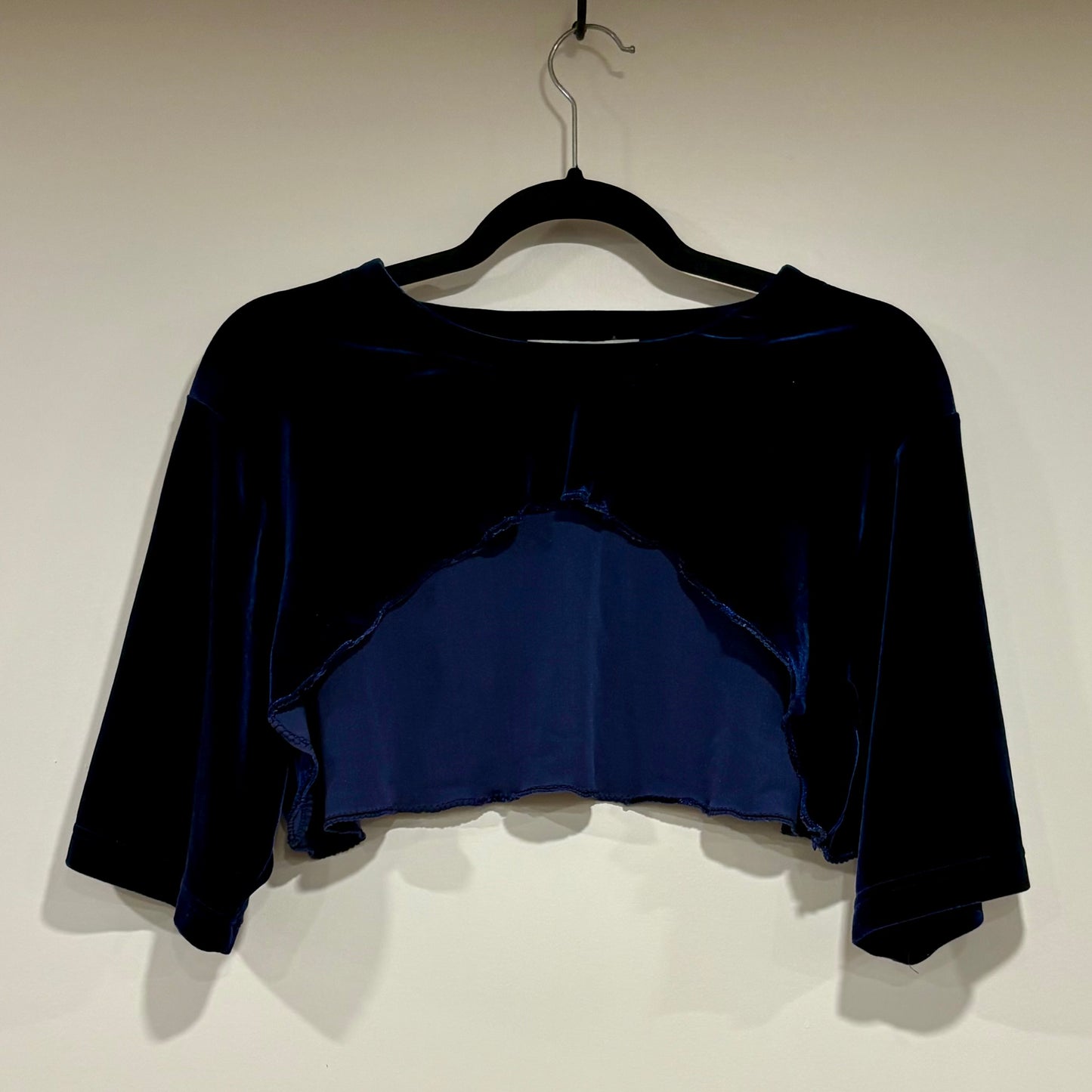 Blue Velvet Sleeves